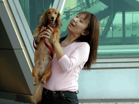 e0179308_22513584.gif
