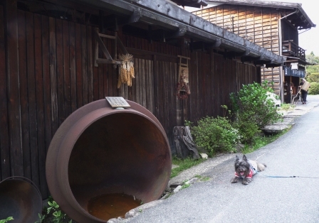 e0078510_0144291.jpg