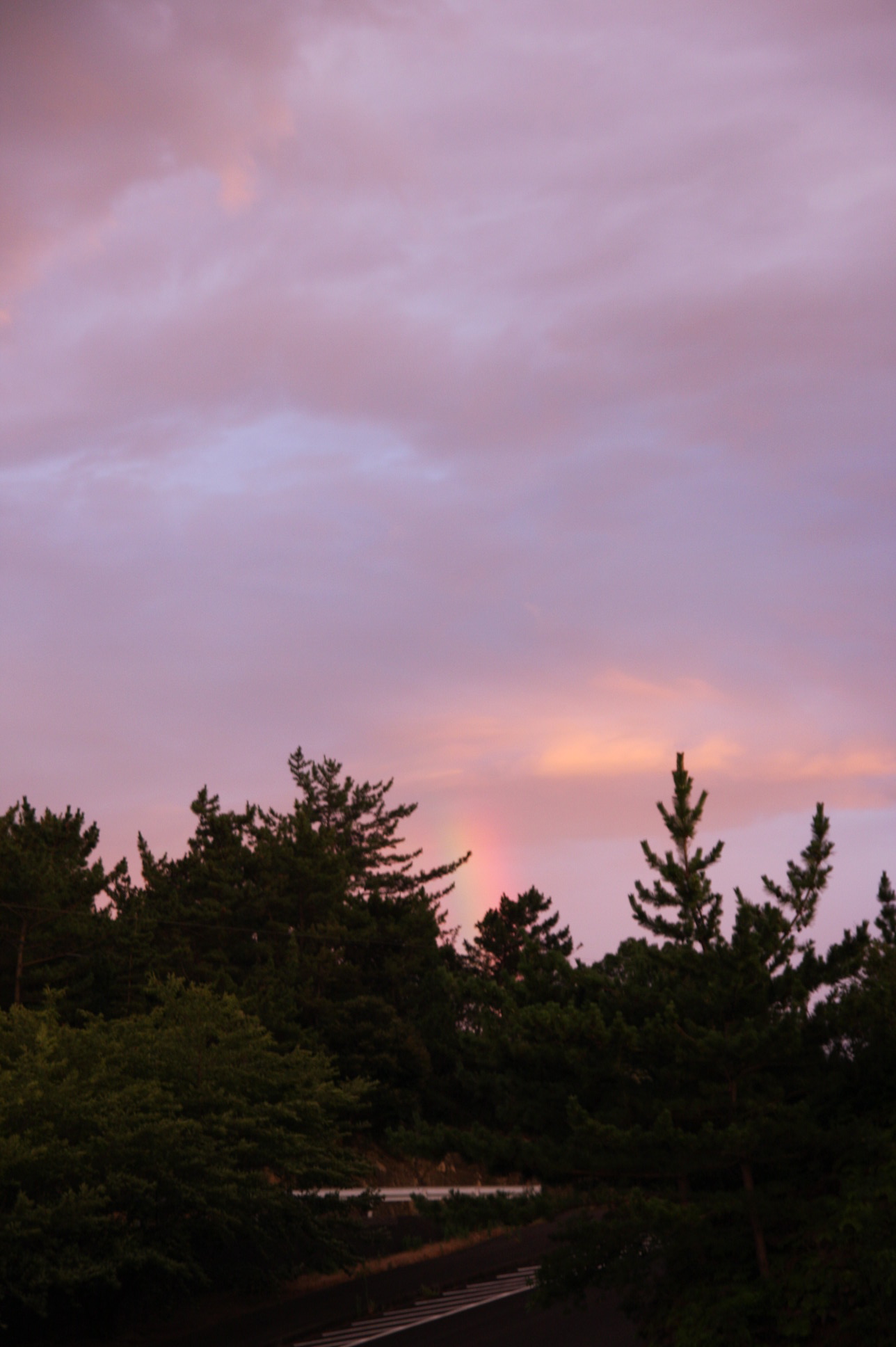 d0158028_2010263.jpg