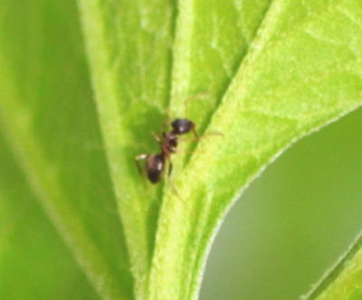 b0165233_837890.jpg
