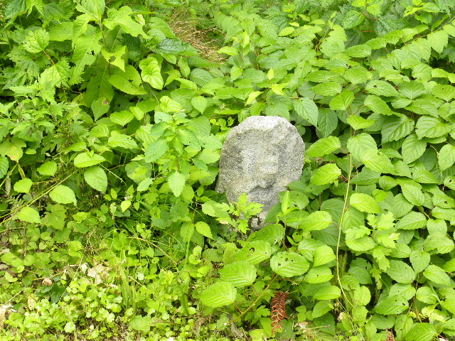 c0000134_15385048.jpg