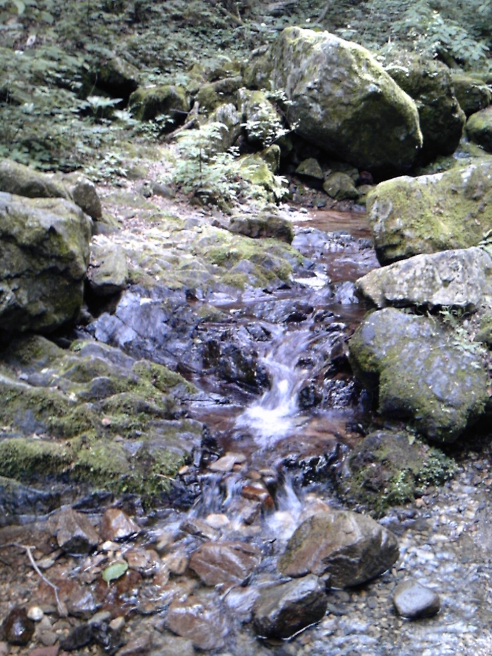 a0163738_161001.jpg