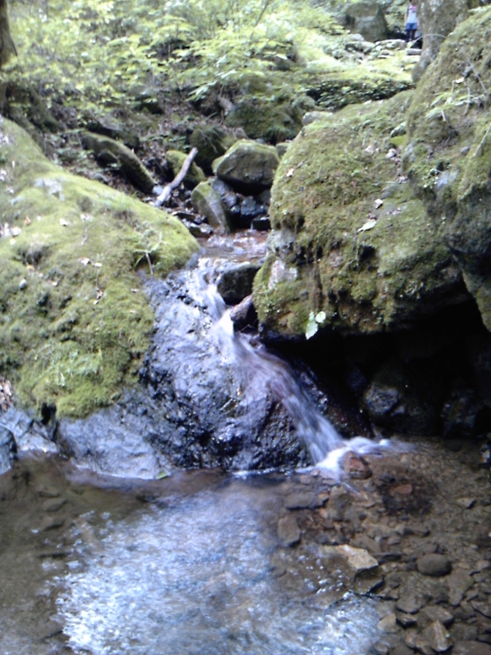 a0163738_16111811.jpg