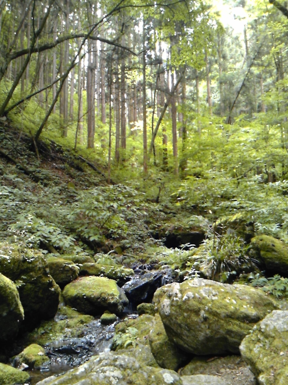 a0163738_166658.jpg