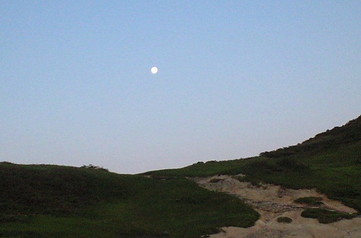 d0107938_1225579.jpg