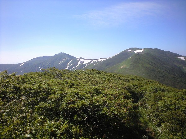 d0107938_12262091.jpg