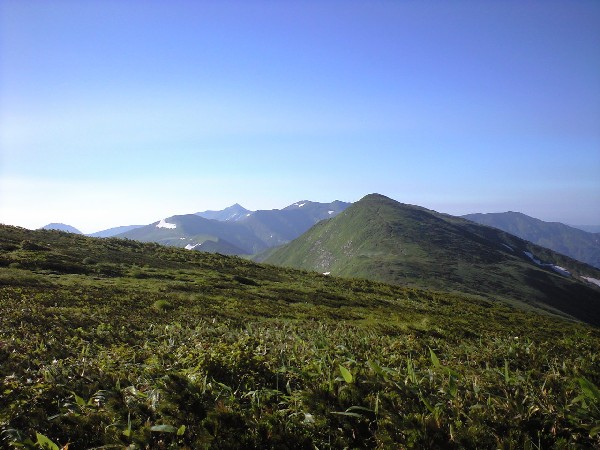 d0107938_1226245.jpg