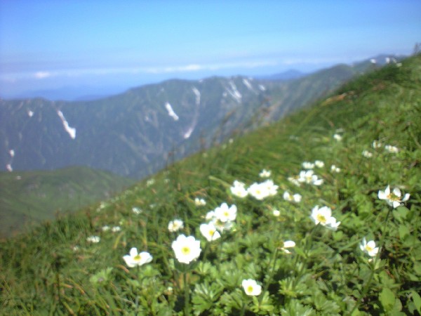 d0107938_12262674.jpg
