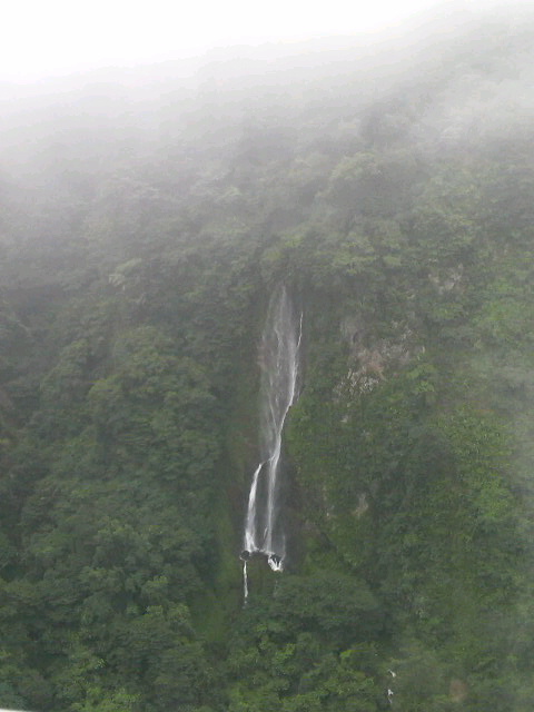 a0105740_6481232.jpg