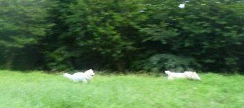 e0121548_20561317.jpg