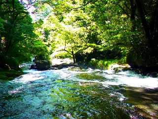 c0171349_10585949.jpg