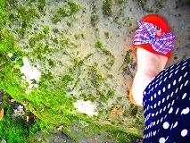 c0171349_1102065.jpg