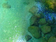 c0171349_1131374.jpg