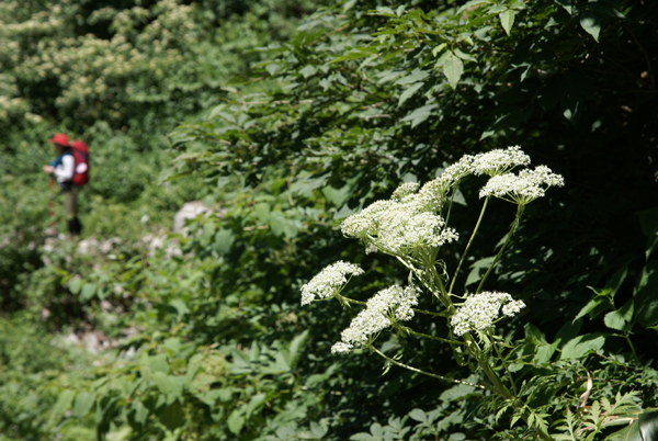 f0214649_4105452.jpg