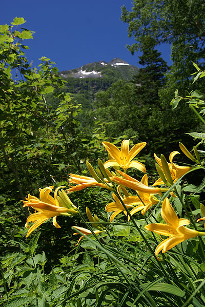 f0214649_4123751.jpg