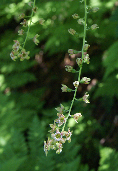 f0214649_4271746.jpg