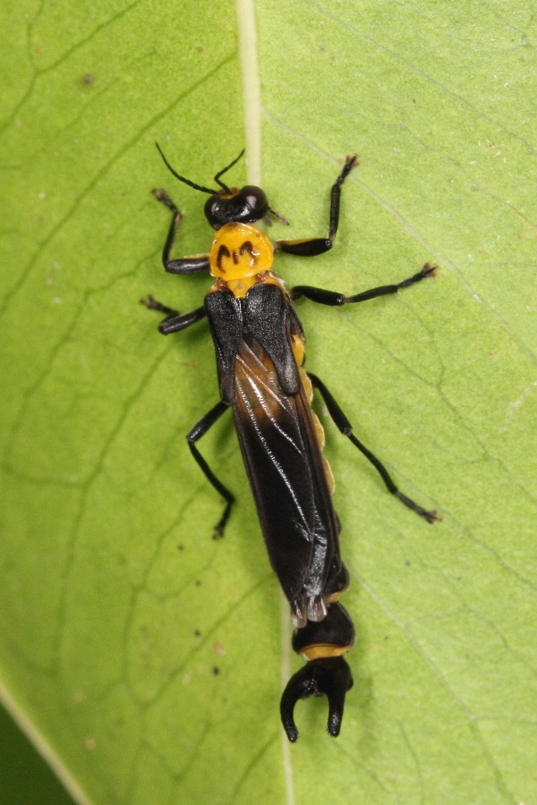 a0094850_9165360.jpg