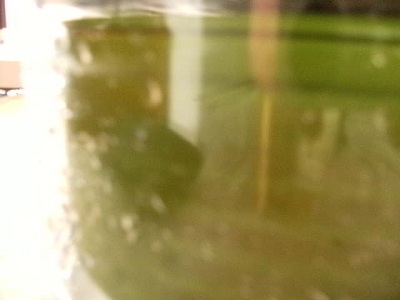 d0145759_2144170.jpg