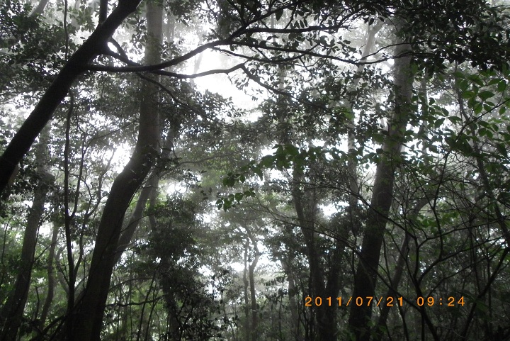 f0016066_14181724.jpg