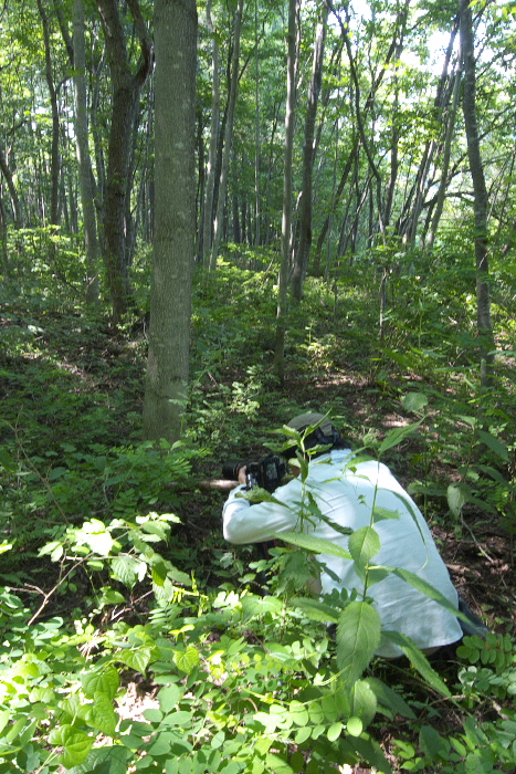 f0090680_22385161.jpg