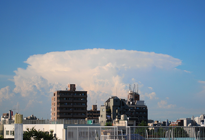 c0009981_1634035.jpg
