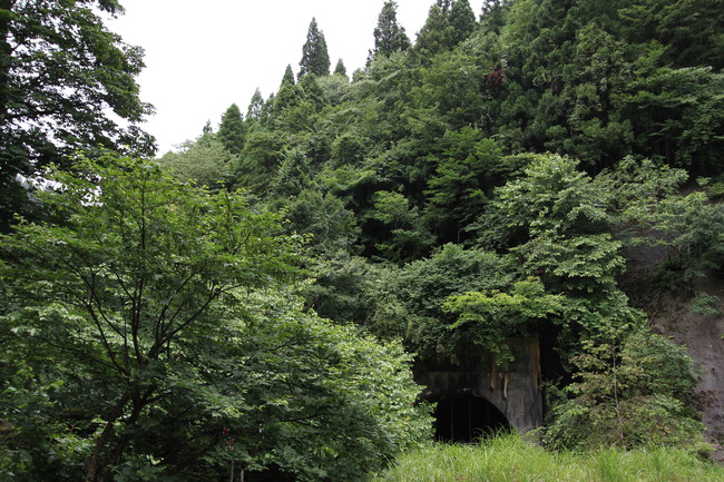 e0024081_20392734.jpg