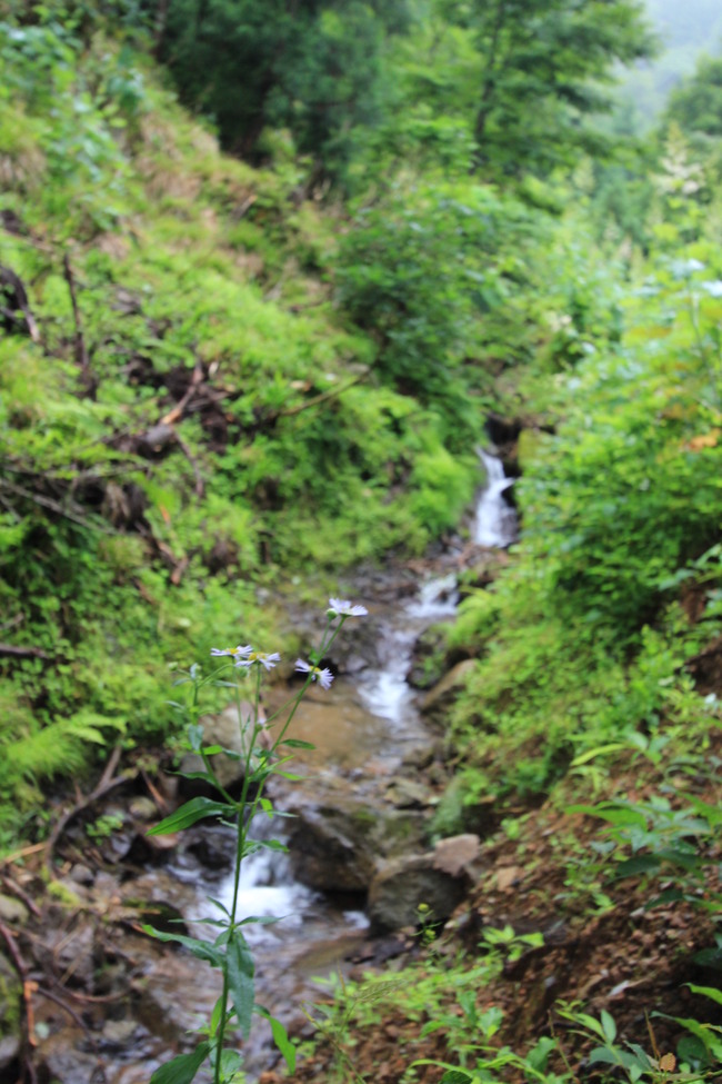 e0024081_20441654.jpg