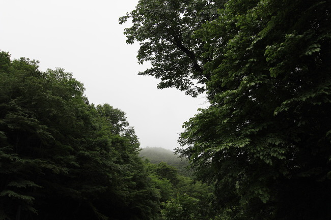 e0024081_20474396.jpg