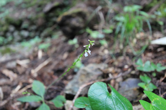 e0024081_20503414.jpg