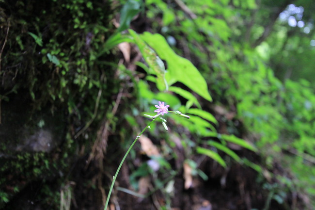 e0024081_2051517.jpg