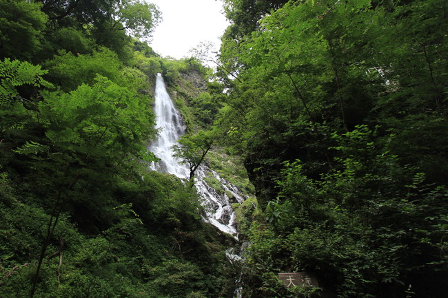 e0024081_20523394.jpg