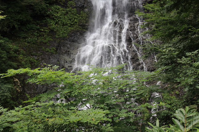 e0024081_2054312.jpg