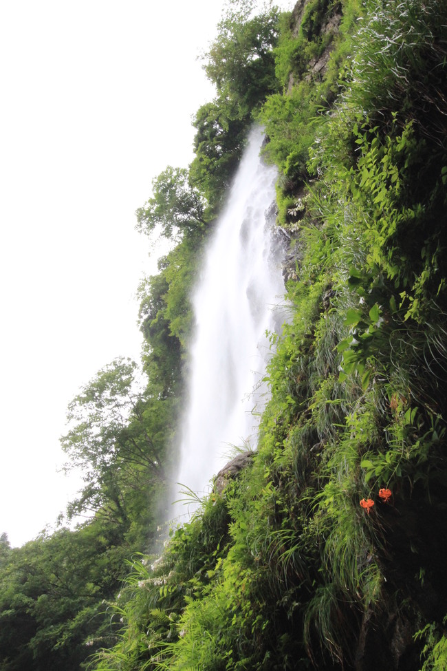 e0024081_2055142.jpg