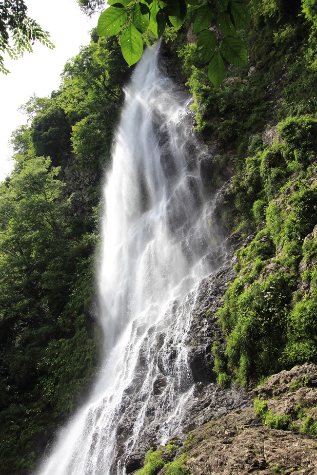 e0024081_20575291.jpg