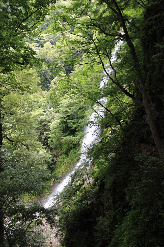 e0024081_2059242.jpg