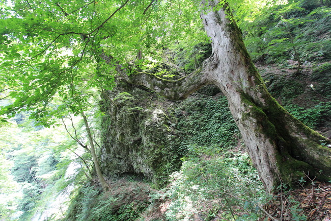 e0024081_2059281.jpg