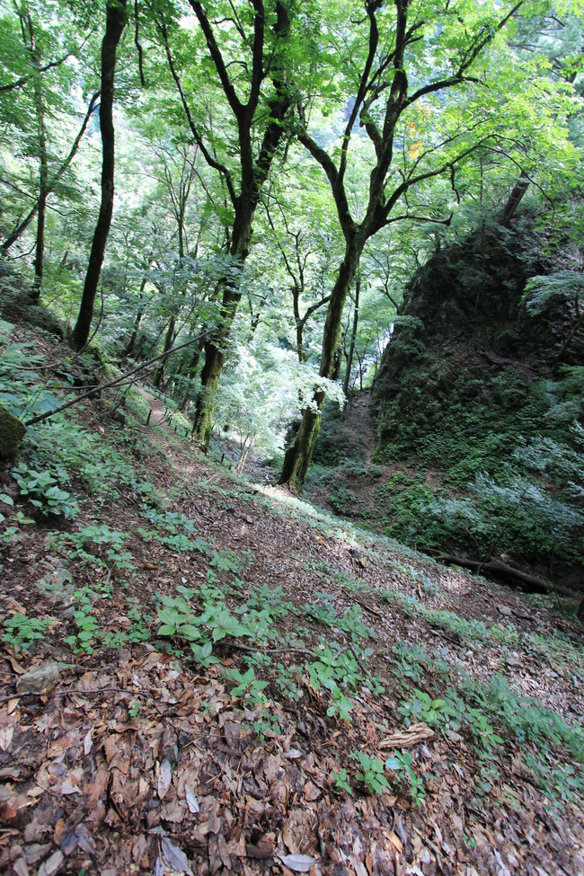 e0024081_2113821.jpg