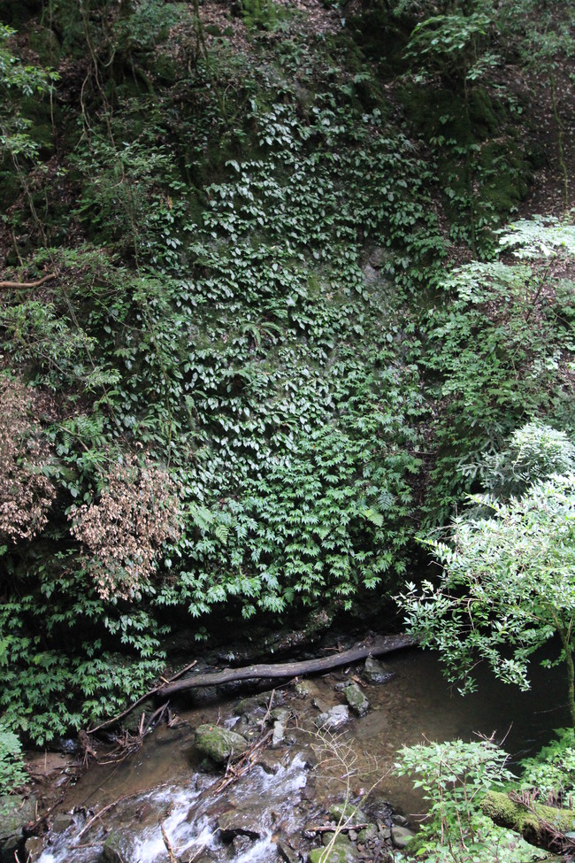 e0024081_2121561.jpg