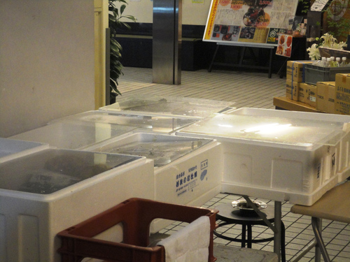 e0130381_961659.jpg
