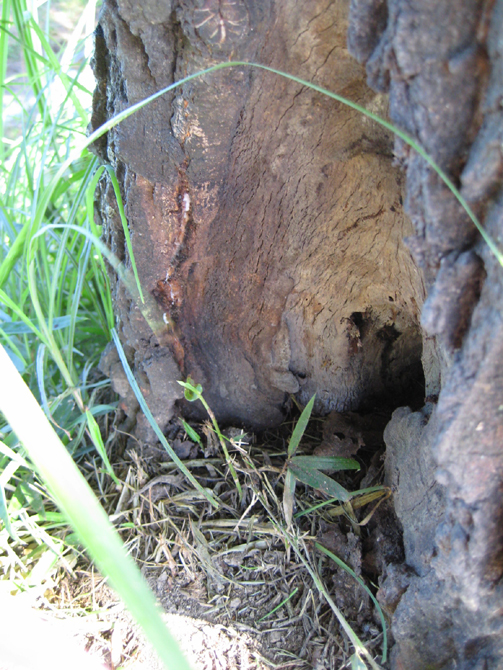 f0183484_13334.jpg