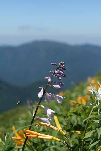 e0108592_22164519.jpg