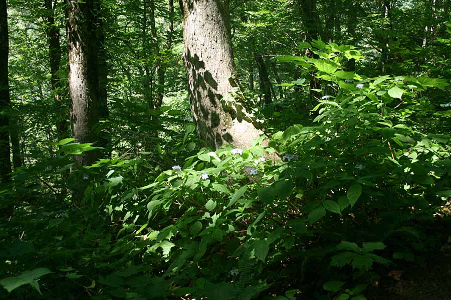 e0108592_22435230.jpg