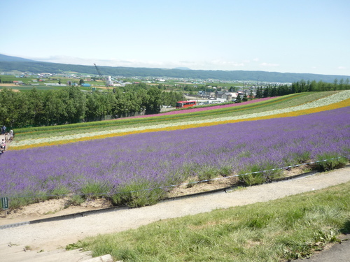 f0029393_6381479.jpg