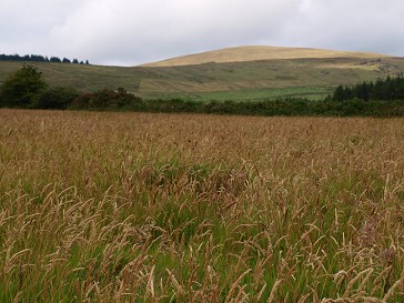 b0110999_2212988.jpg
