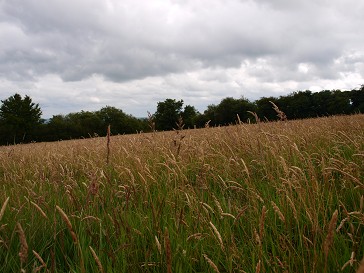 b0110999_2215172.jpg