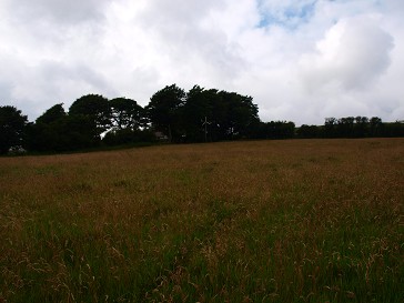 b0110999_222170.jpg