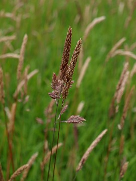 b0110999_2222143.jpg