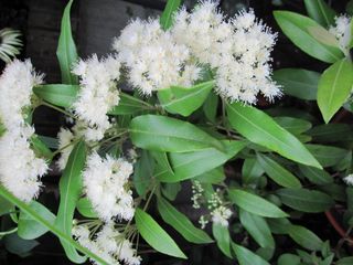c0152002_11121316.jpg