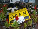 f0055803_1322683.jpg