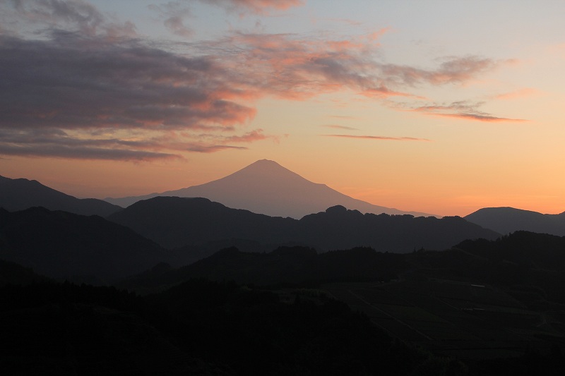 a0188405_1310432.jpg